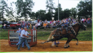 Horse Pull